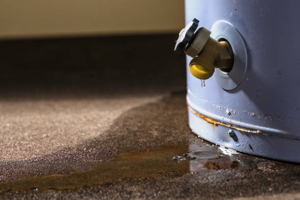 Best Water damage cleanup near me  in Guadalupe, AZ