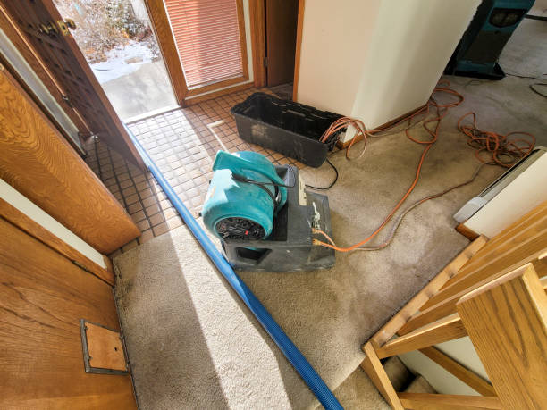 Best Water damage repair service  in Guadalupe, AZ
