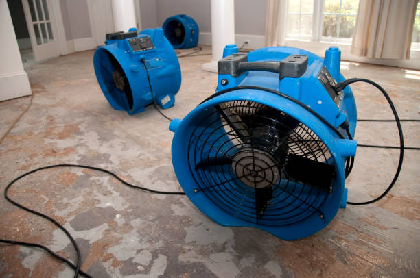  Guadalupe, AZ Water damage restoration Pros
