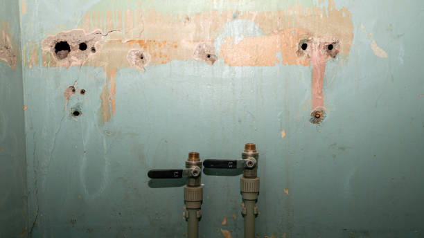 Best 24/7 water damage repair  in Guadalupe, AZ