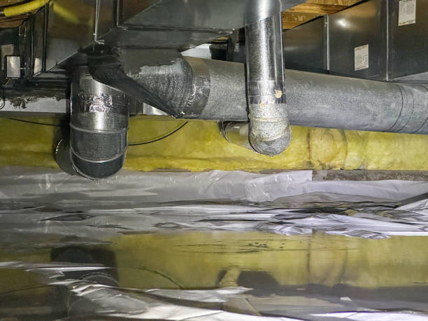 Best Professional water damage repair  in Guadalupe, AZ