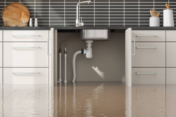 Best Flooded house restoration  in Guadalupe, AZ