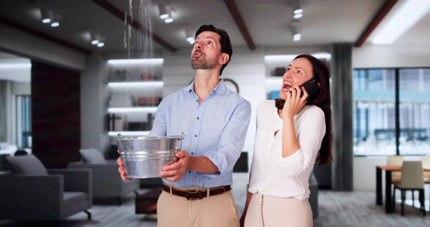 Best Carpet water damage restoration  in Guadalupe, AZ