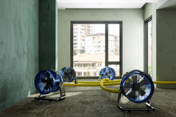 Best Residential water damage restoration  in Guadalupe, AZ